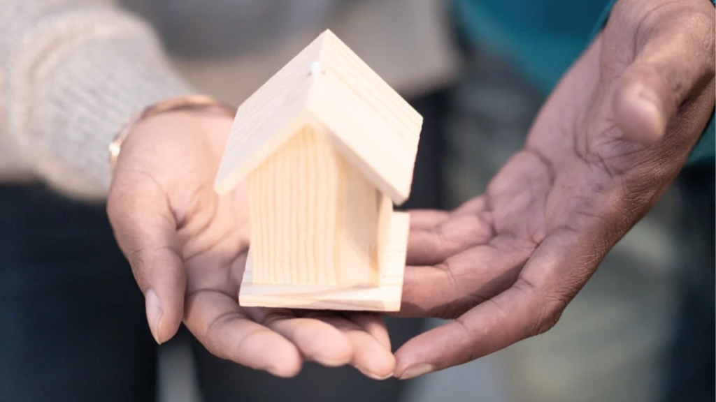 The Essential Guide to Choosing the Right Property Managers in New Zealand
