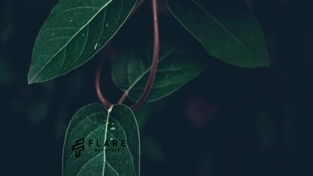 Kratom Strain ChartKratom Strain Chart