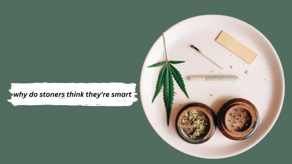 why do stoners think they're smart