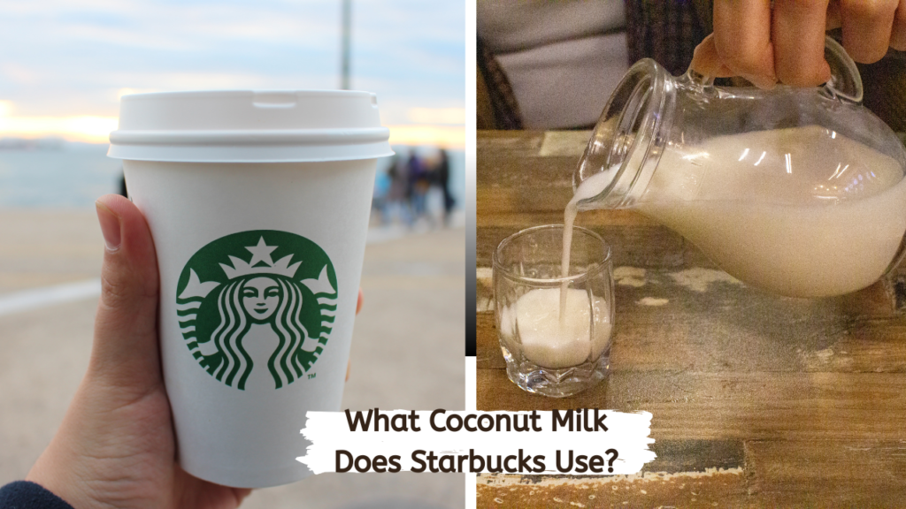 What Coconut Milk Does Starbucks Use