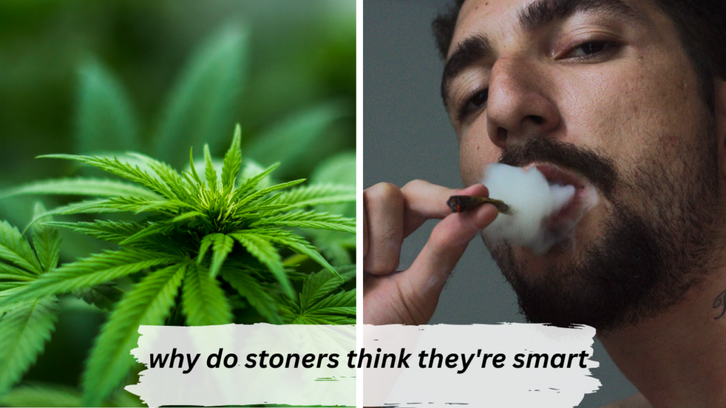 why do stoners think they're smart
