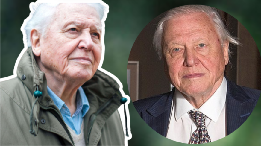 david attenborough age
