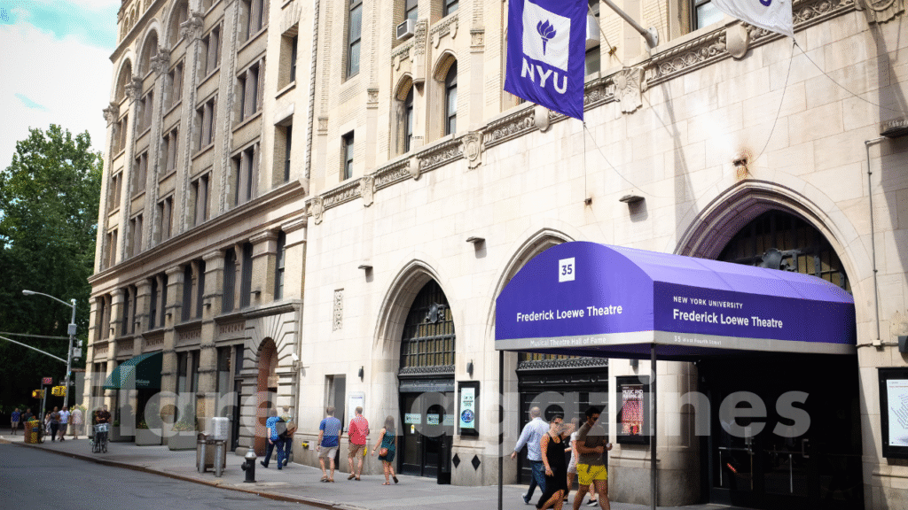 newu university reviews